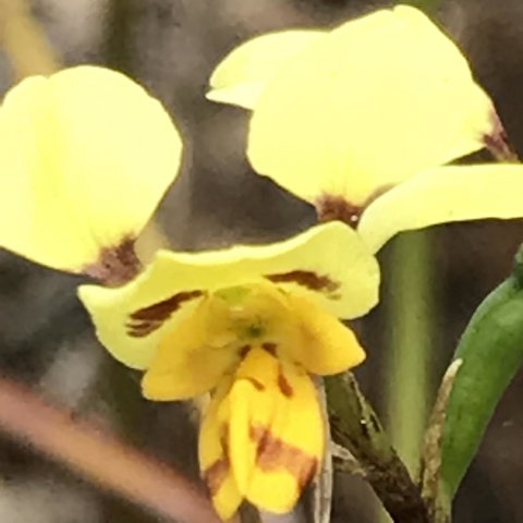 Swan Cove Beachfront - NT Tourism 19