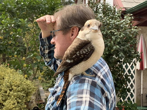 Swan Cove Beachfront - NT Tourism 4