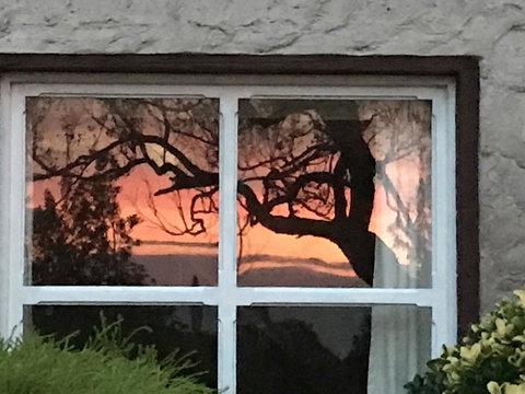 Swan Cove Beachfront - NT Tourism 13