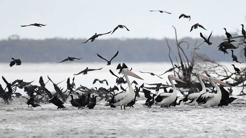 Swan Cove Beachfront - NT Tourism 1