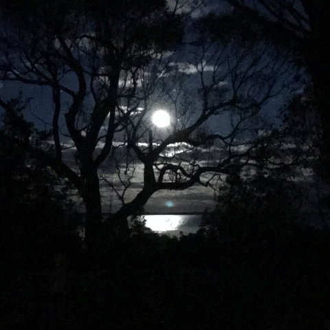 Swan Cove Beachfront - NT Tourism 12