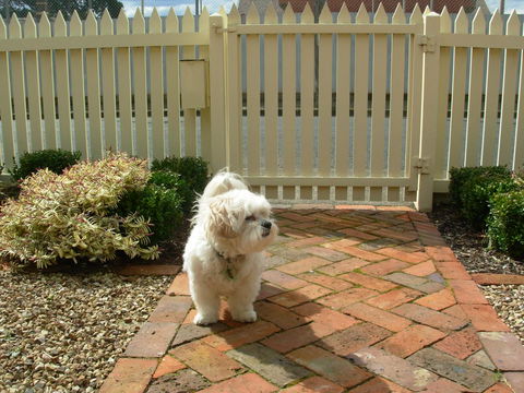 Sabina On Little Myers - Accommodation NT 24