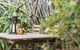 LittleStay Airlie - 2 Bedroom House - thumb 38