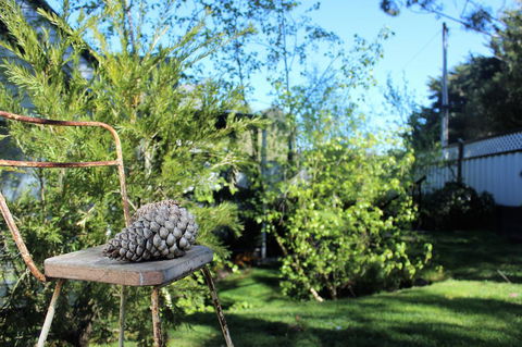 Cottage 4A - Accommodation NT 13