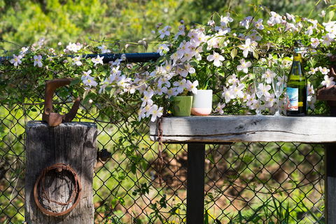 Cottage 4A - Accommodation NT 4