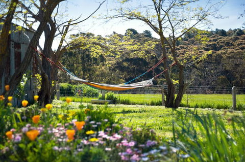 Cabrito - Accommodation NT 3