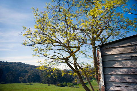 Cabrito - Accommodation NT 9