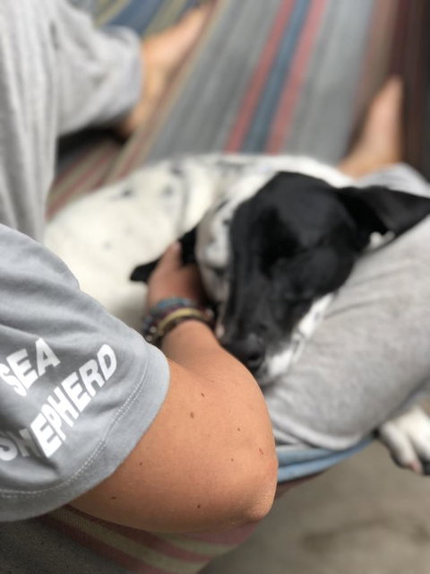 Backpackers At 1770 - Accommodation NT 15