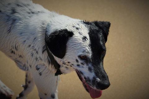 Backpackers At 1770 - Accommodation NT 21