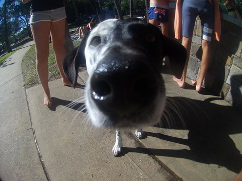 Backpackers At 1770 - Accommodation NT 2