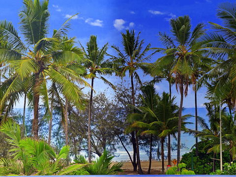 By The Sea Port Douglas - Accommodation NT 3