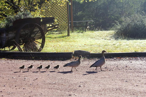 Granite Belt Retreat And Brewery - Accommodation NT 22