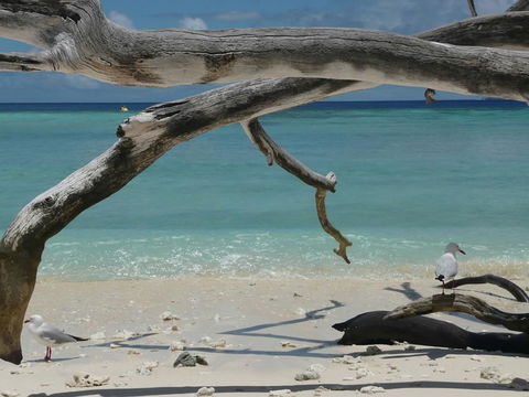 Beach Club Port Douglas Luxury Apartments - Accommodation NT 23
