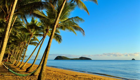 Mango Lagoon Resort & Wellness Spa - Accommodation NT 25