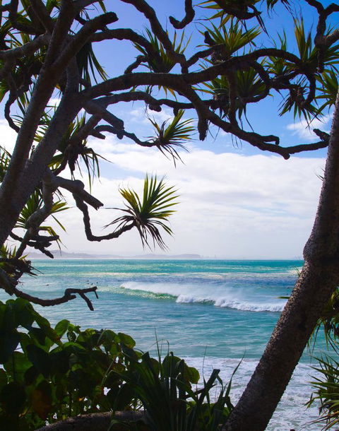Rainbow Bay Backpackers - Accommodation NT 25