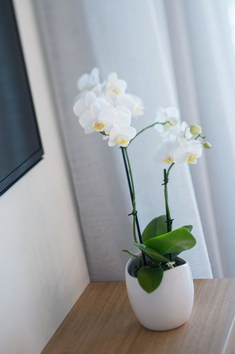 Heart Hotel And Gallery Whitsundays - Accommodation NT 28
