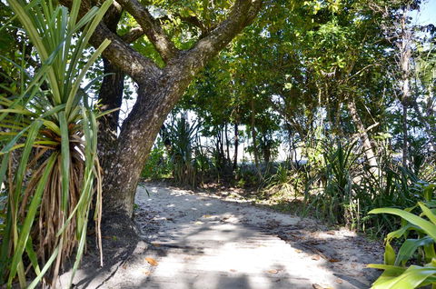 PK\'s Jungle Village - Accommodation NT 28