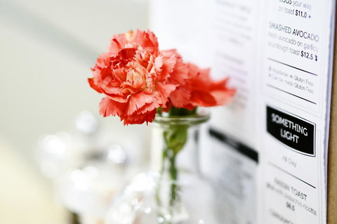 Madison Plaza Townsville - Accommodation NT 20