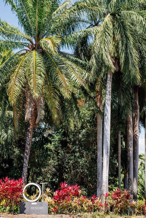 Oaks Port Douglas Resort - Accommodation NT 40
