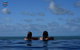 Martinique Whitsunday Resort - thumb 24