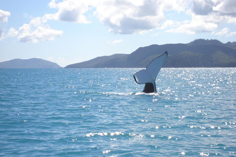 Marina View Apartment - Accommodation NT 9