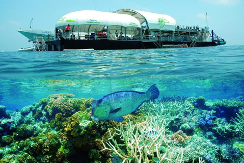 The Sebel Whitsundays - Accommodation NT 9