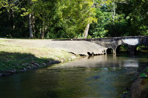 McCarthy Grove Maleny - Accommodation NT 1