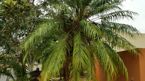 Hepburn Holiday Haven - Accommodation NT 26