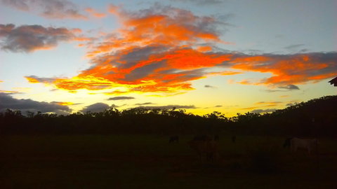Ironbark House - Accommodation NT 32