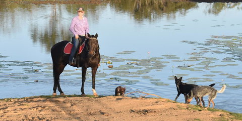 Ironbark House - Accommodation NT 39