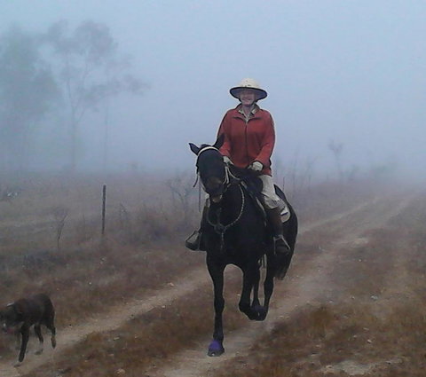 Ironbark House - Accommodation NT 37
