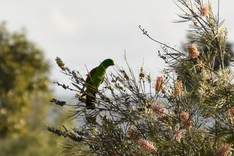 Ironbark House - Accommodation NT 29