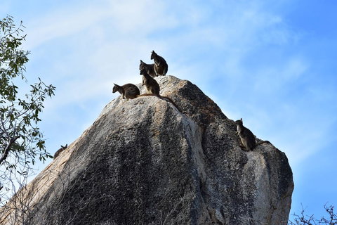 Ironbark House - Accommodation NT 38