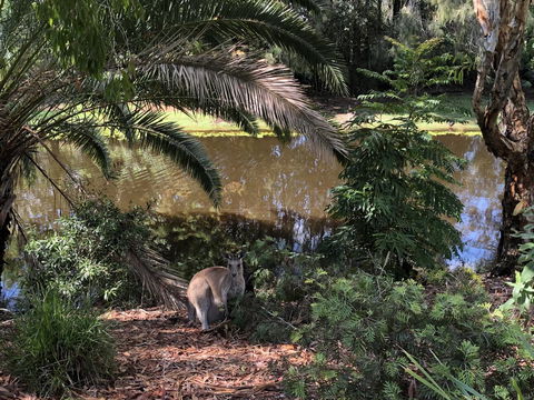 Waterfront Resort Villa With Buggy - Accommodation NT 25