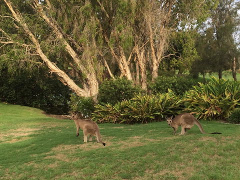 Waterfront Resort Villa With Buggy - Accommodation NT 19