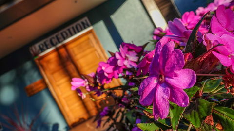 Blue Summit Hideaway - Accommodation NT 33