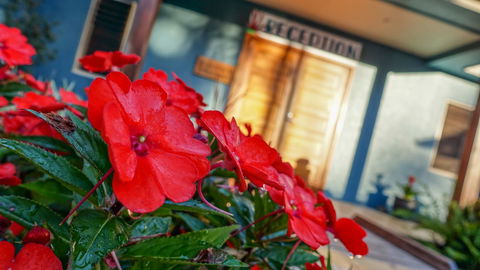 Blue Summit Hideaway - Accommodation NT 1