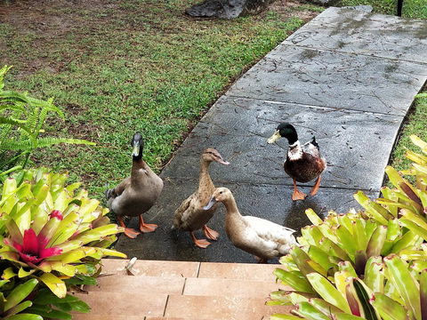 Waterfront Theme Park Getaway - Accommodation NT 25