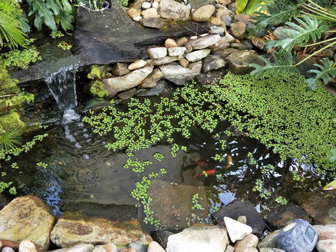 Waterfront Theme Park Getaway - Accommodation NT 26