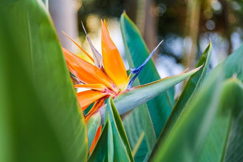 Oscar On Main Beach Resort - Accommodation NT 25