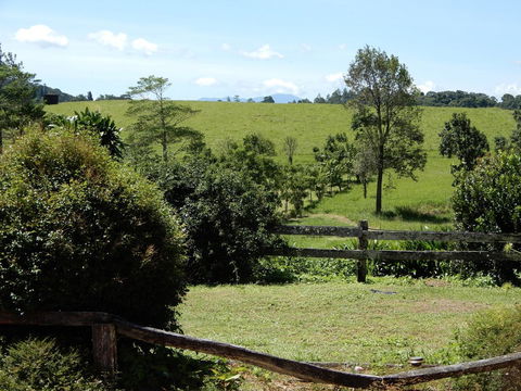 Malanda Manor Guesthouse - Accommodation NT 17