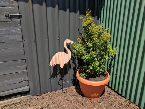 Lilly Pilly House - NT Tourism 10