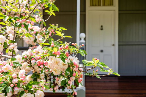 Apple Blossom Cottages - Accommodation NT 2