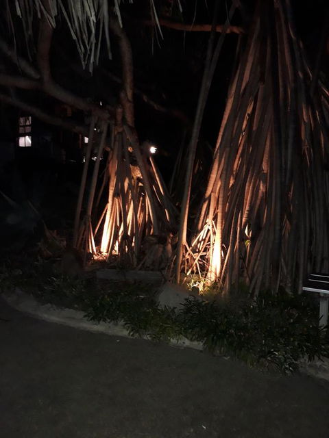 Pandanus Coolum Beach - Accommodation NT 10