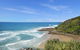 Pandanus Coolum Beach - thumb 12