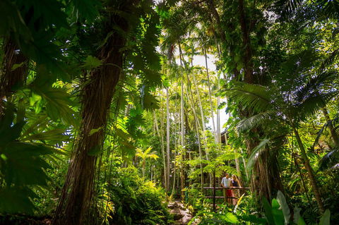 Cairns Colonial Club Resort - Accommodation NT 22
