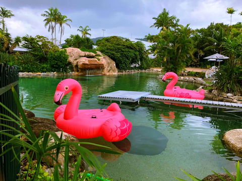 Cairns Colonial Club Resort - Accommodation NT 6