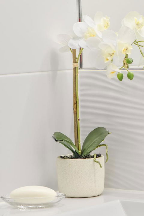 The Guesthouse Maleny - Accommodation NT 32