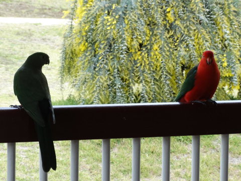 Loughmore House - Accommodation NT 9