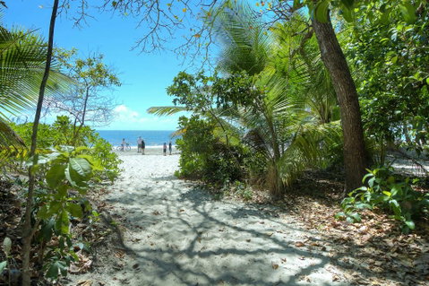 Whispering Palms - Accommodation NT 1